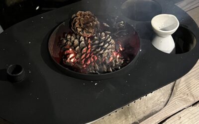 Mau 武蔵野美術大学